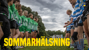 Sommarhälsning från ordföranden